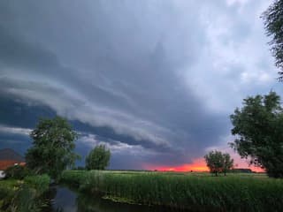 Hank, Brabantse Biesbosch