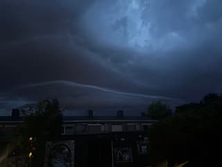 Boogwolk