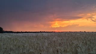 Vlak voor zonsondergang en naderende noodweer