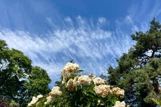 Windveren hoog in de lucht vanmorgen rond 10 uur