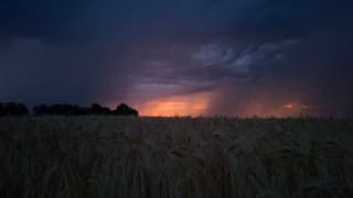 Door zonsondergang oranje gekleurde lucht boven tarweveld met naderend on-/noorweer