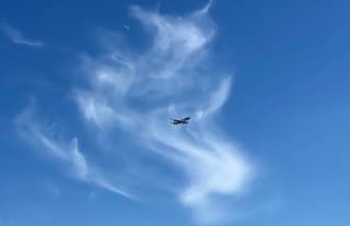 KLM in een sierlijke windveer