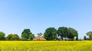 Zomers weer en met een strakblauwe lucht
