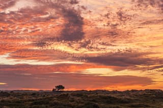zonsopkomst ameland 21-06-2026