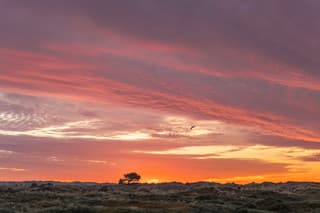 zonsopkomst ameland 21-06-2026