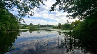 Doorkijkje naar bruggetje en weerspiegelde stapelwolken