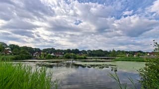 Voornamelijk bewolking boven deze paddenpoelvijver