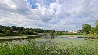 Voornamelijk bewolking