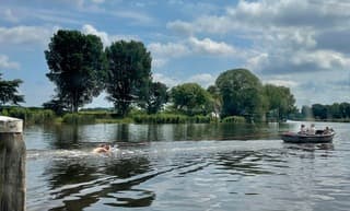ZOMER in Nederland