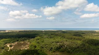 Bergerbos vanuit de lucht