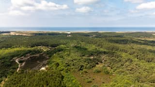 Bergerbos vanuit de lucht