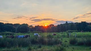 Zonsopkomst bij de regge