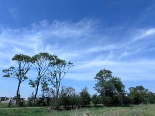 Sluierbewolking 