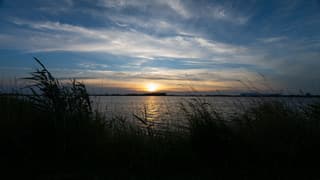 Bergse Plaat
