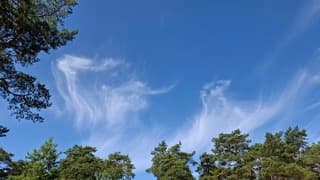 Ook een bijzondere variant wolk.. 