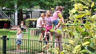 Tropenrooster op school, code oranje