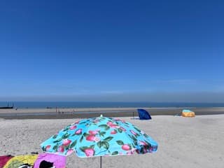 Blauw