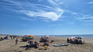 Waterpret aan Zee