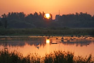 Zonsopkomst 
