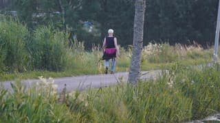 Wandeling 