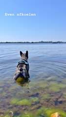 Veerse meer