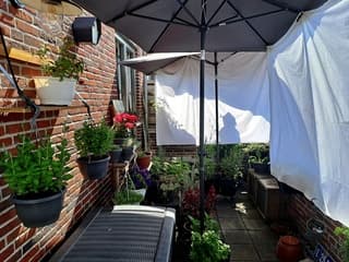 Planten beschermen...