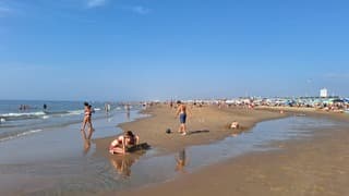 Afgeheid strand