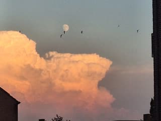 zon achter de wolken met zwaluwen