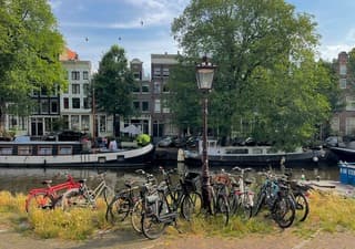 Hoeveel zwaluwen zijn er nodig om het zomer te maken?