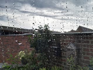 regenbui..