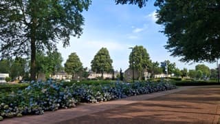 van een bloedheet appartement naar buiten