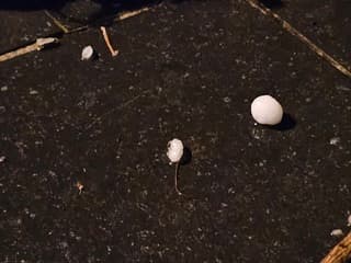 Hagel in Hilversum