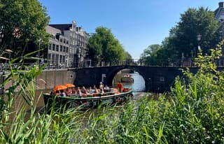 Oranje plu’s dienen ook goed als parasol. 