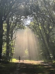 Eerste zonnestralen