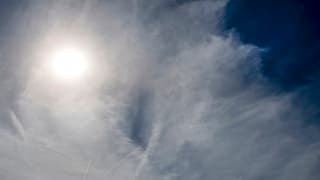 PRIMA ZOMERSE DAG