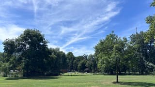 Aangenaam zomerweer