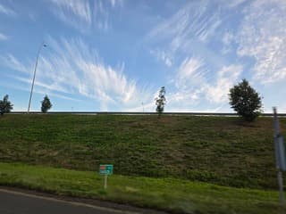 Zomerse windveren 