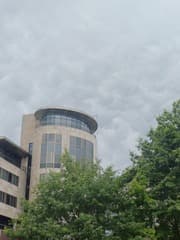 Mammatuswolken