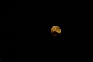 Volle maan