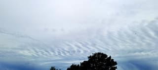 Visgraat wolken...