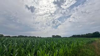 Benauwd warm hier in het Oosten van Nederland