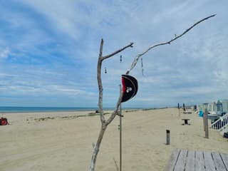 Strand van Wijk aan Zee eerder vandaag 