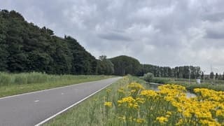 bewolkt maar kleurrijk