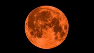De (oranje) maan heeft niet geholpen vannacht.. 