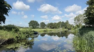 Rustig weer