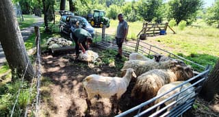warme  jas uit