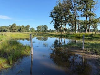 Weerspiegeling 