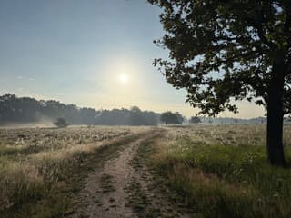 Weerfoto 