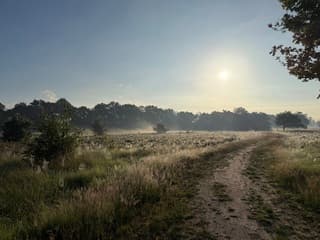 Zon