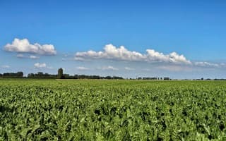 Wolken 